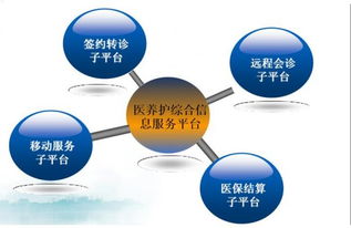 互联网信息服务点亮生活 杭州“互联网+益民服务”的创新实践