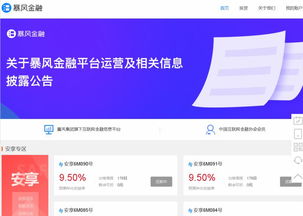 暴风连环炸 监管风暴下的崩塌与七问